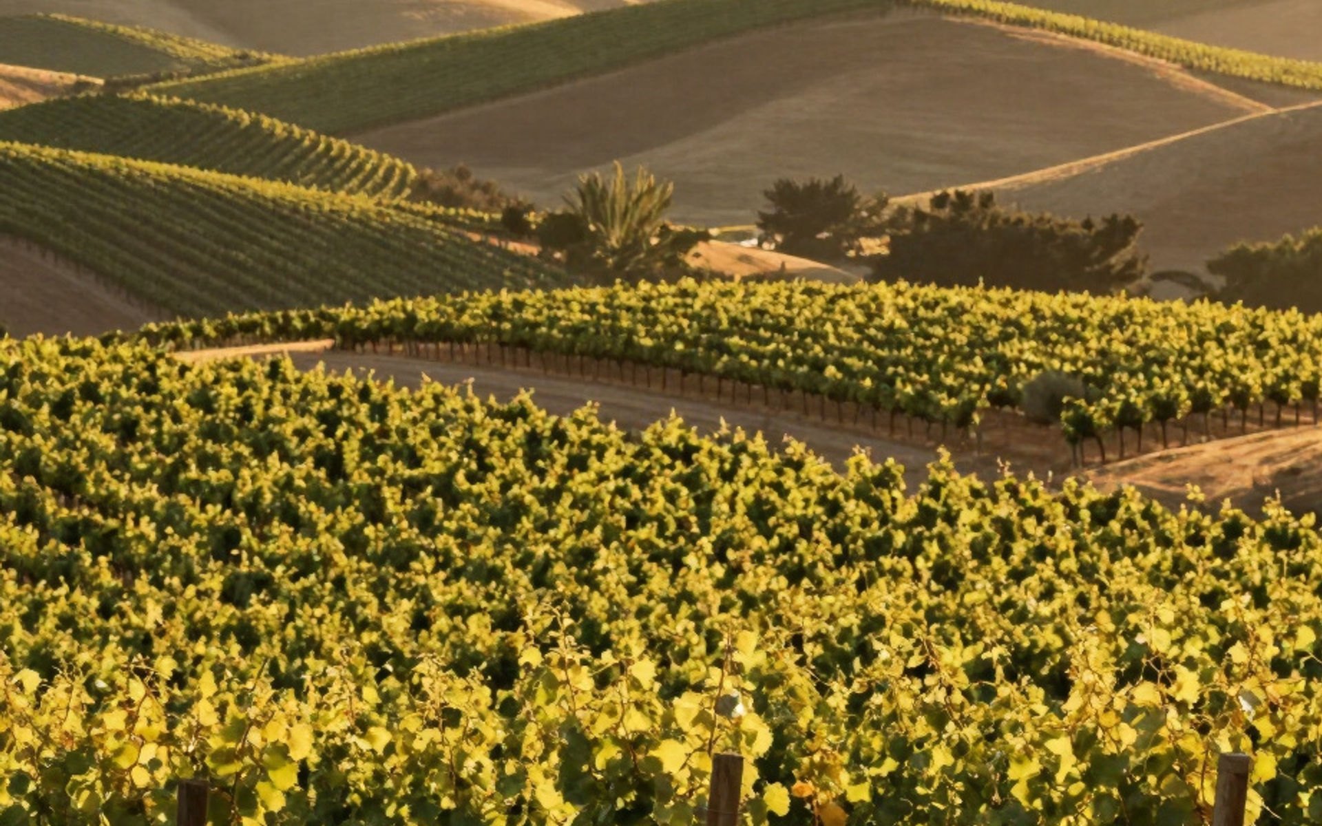 Napa Valley escape