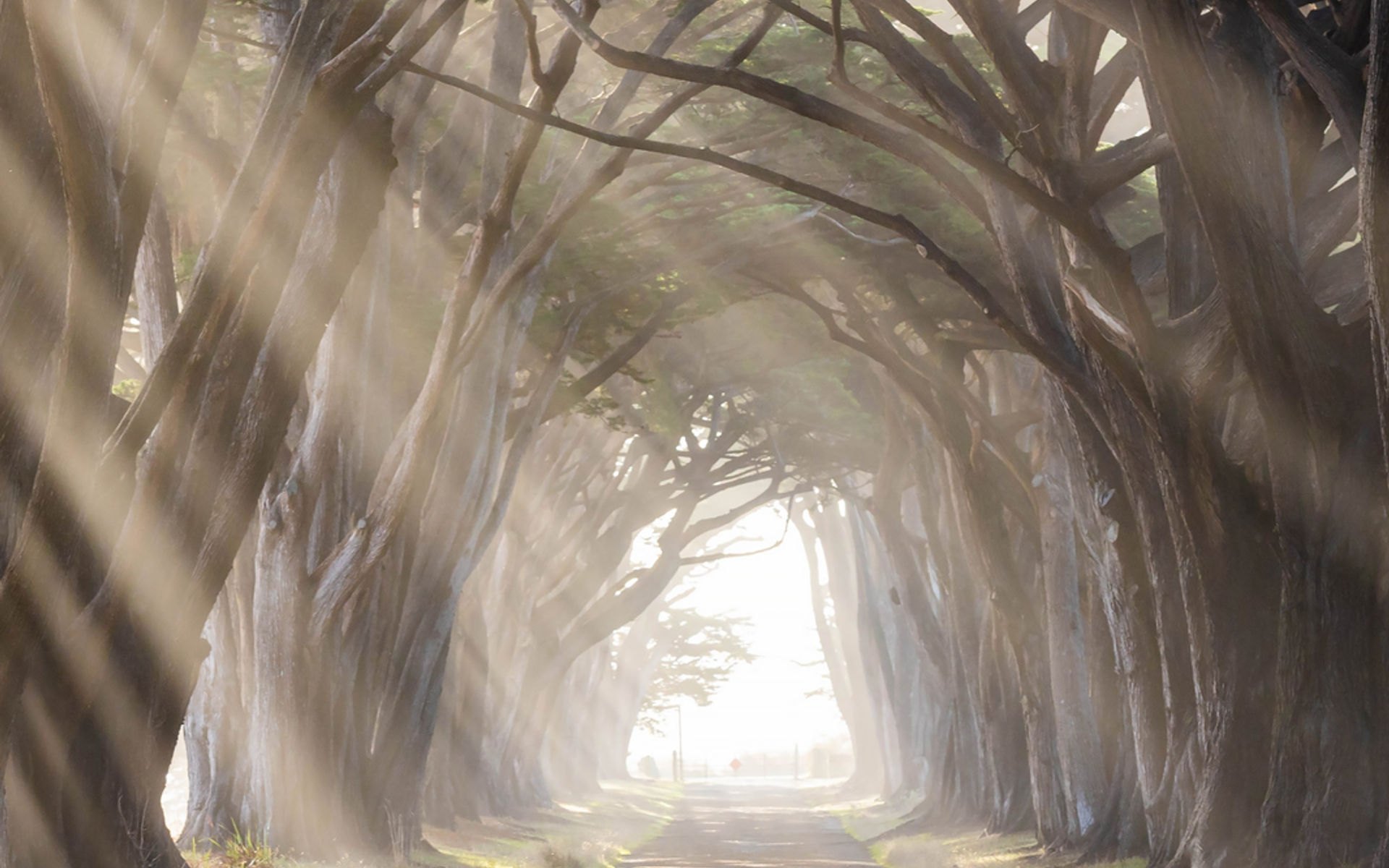 Point Reyes escape