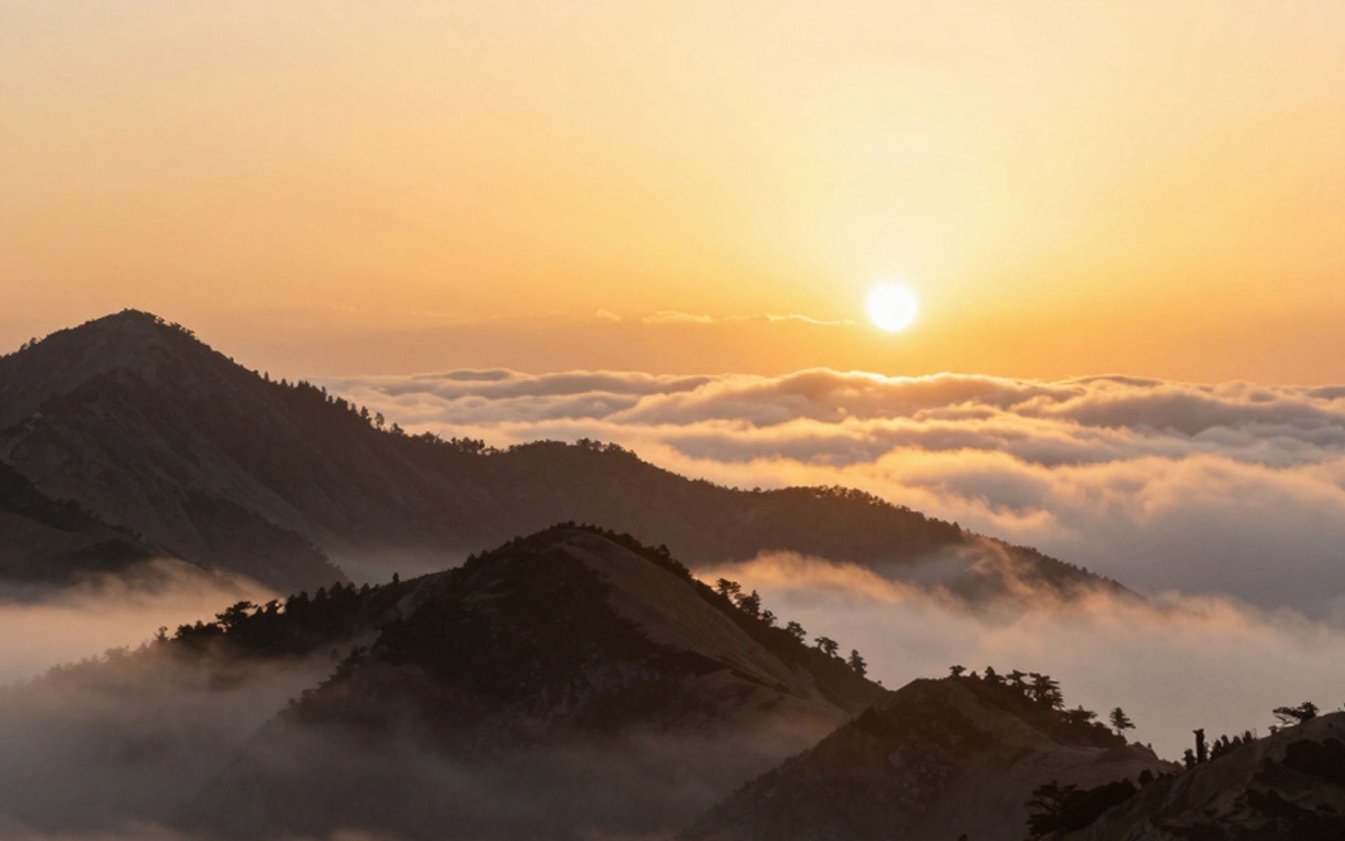 Mount Tamalpais escape